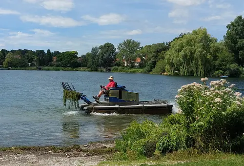 Das Mähboot auf dem Weßlinger See